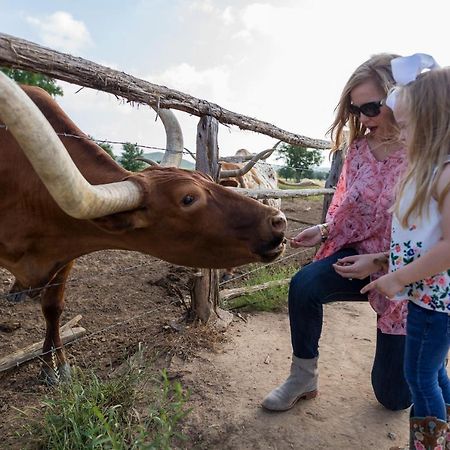 Wildcatter Ranch And Resort Graham المظهر الخارجي الصورة