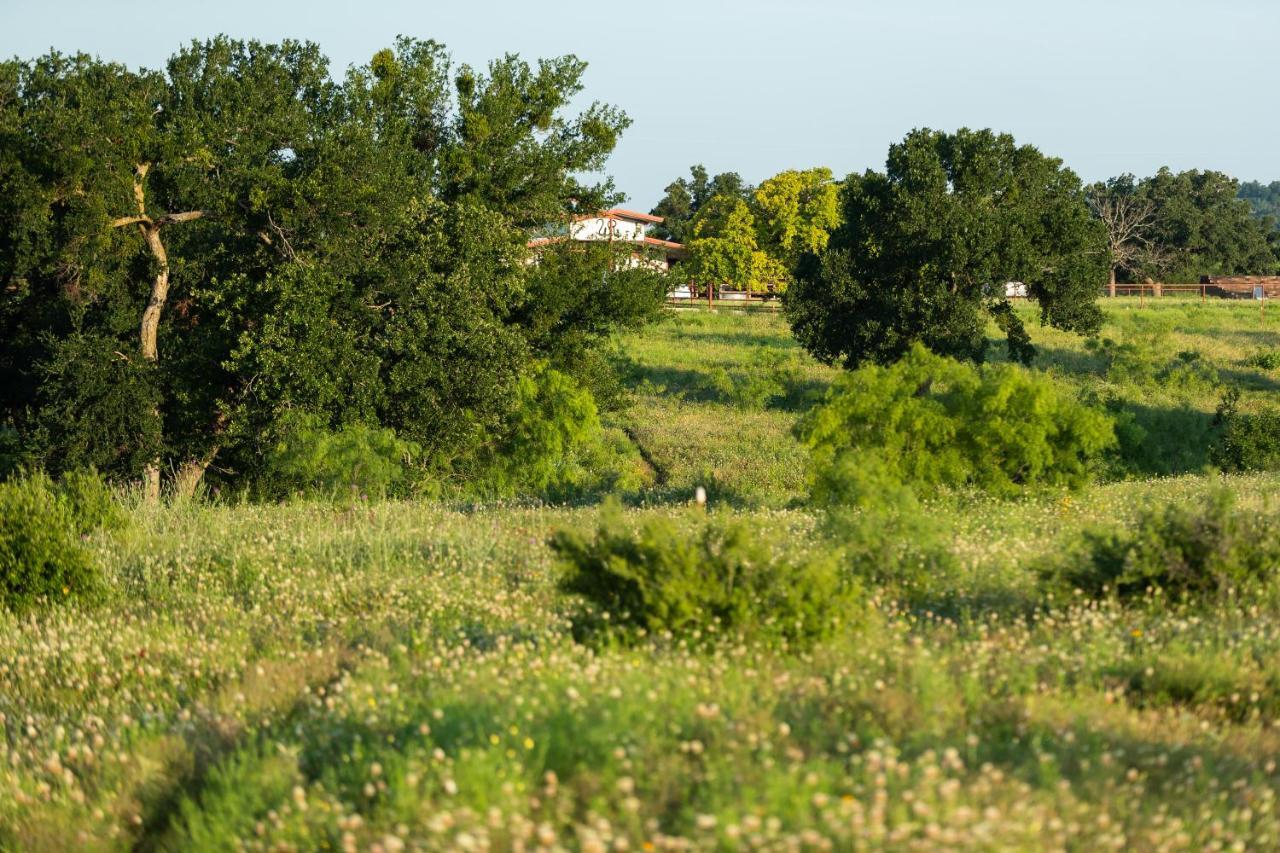 Wildcatter Ranch And Resort Graham المظهر الخارجي الصورة