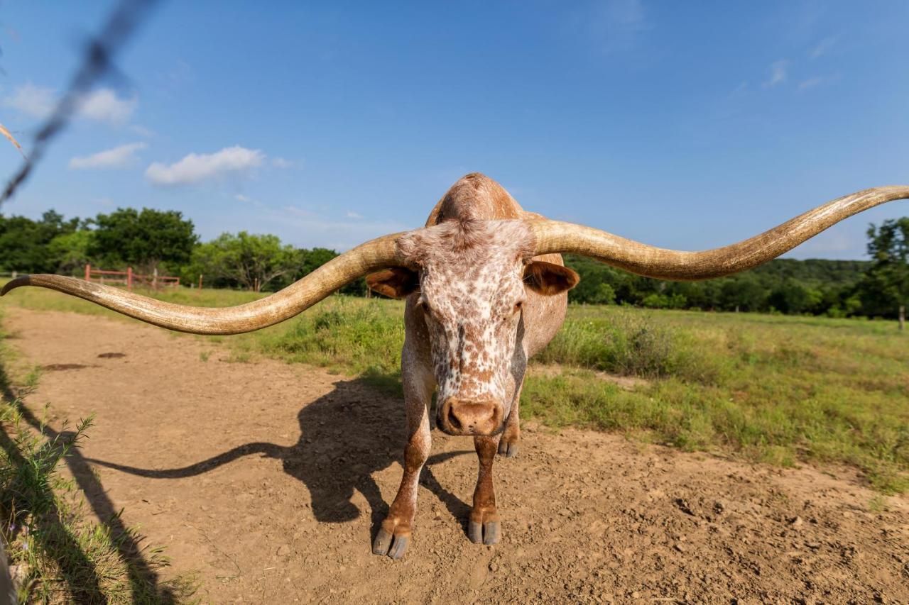 Wildcatter Ranch And Resort Graham المظهر الخارجي الصورة